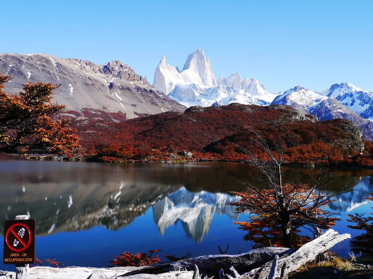 フィッツロイ　FitzRoy