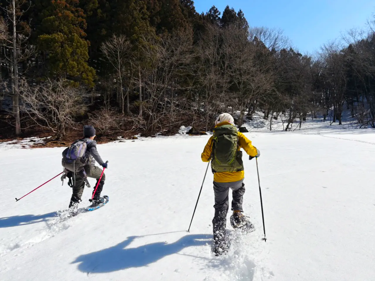 小沼で走る二人