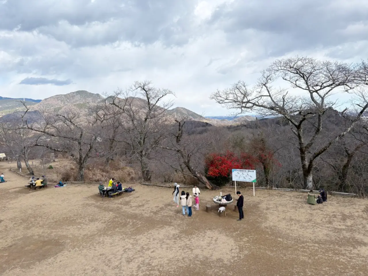 頂上広場のソメイヨシノと、その下にある宴会しやすいテーブルとお食事中の登山客たち