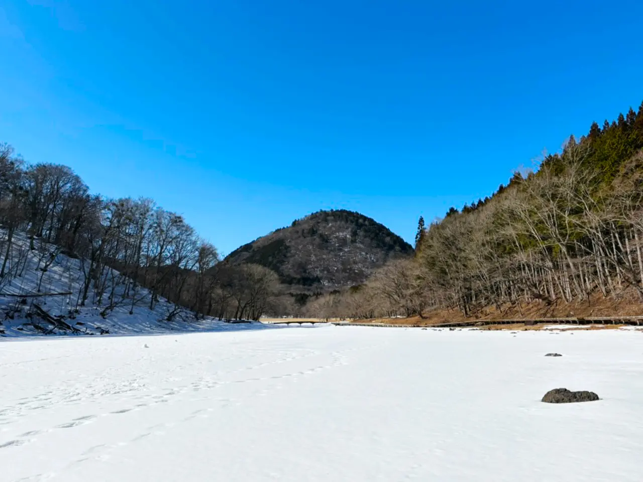 大沼の向こうに新湯富士