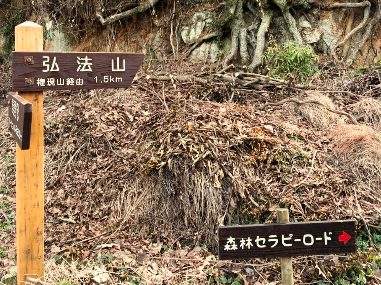 弘法山はこちらの道標