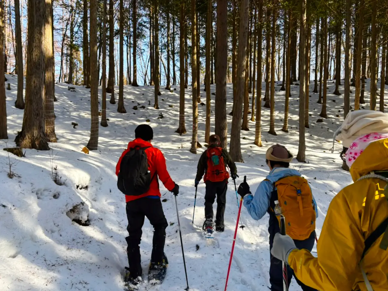 スノーシューでガイドを先頭に森に入っていく４名