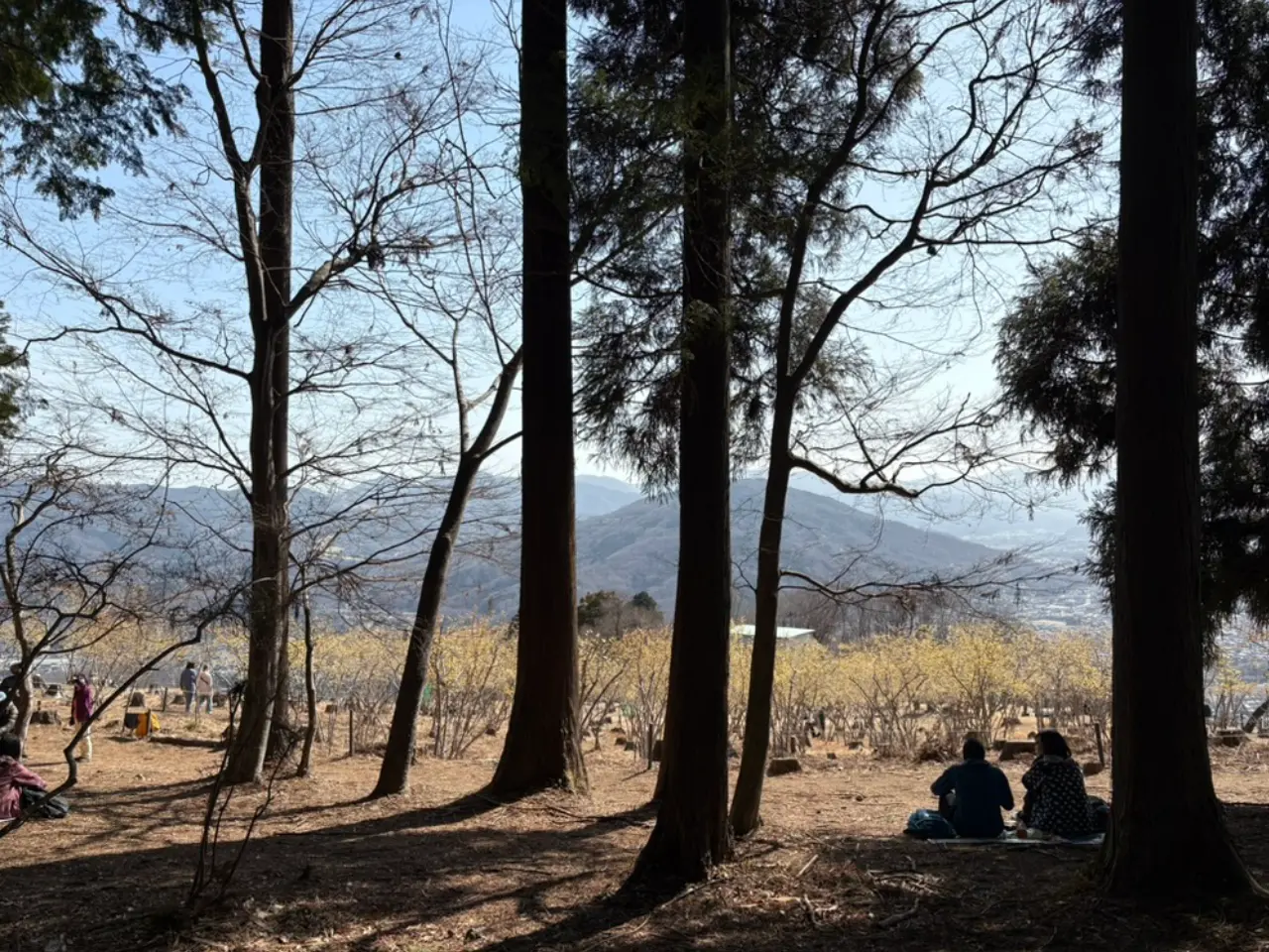西ろうばい園側の山頂からの景色