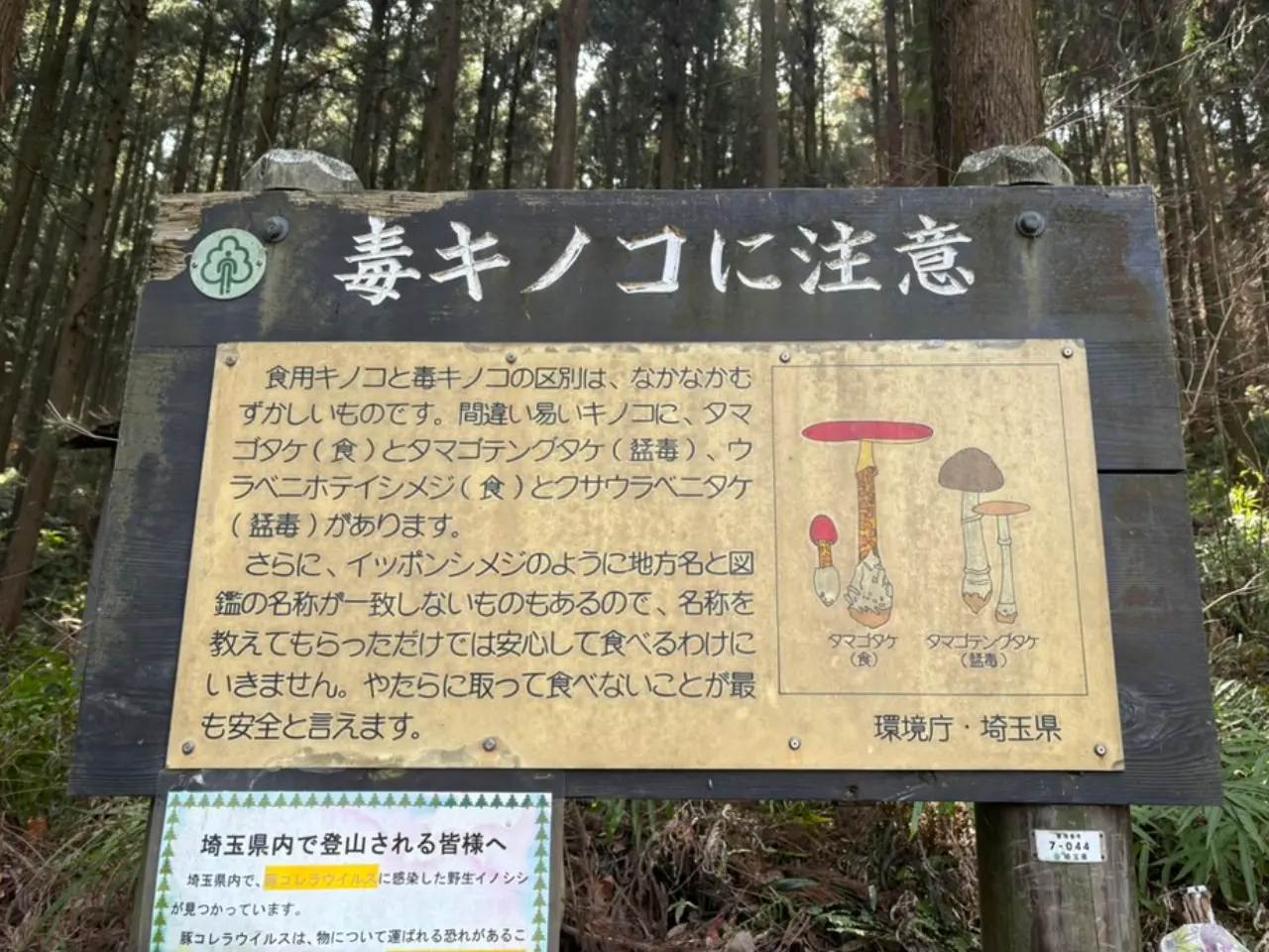 毒キノコに注意の看板