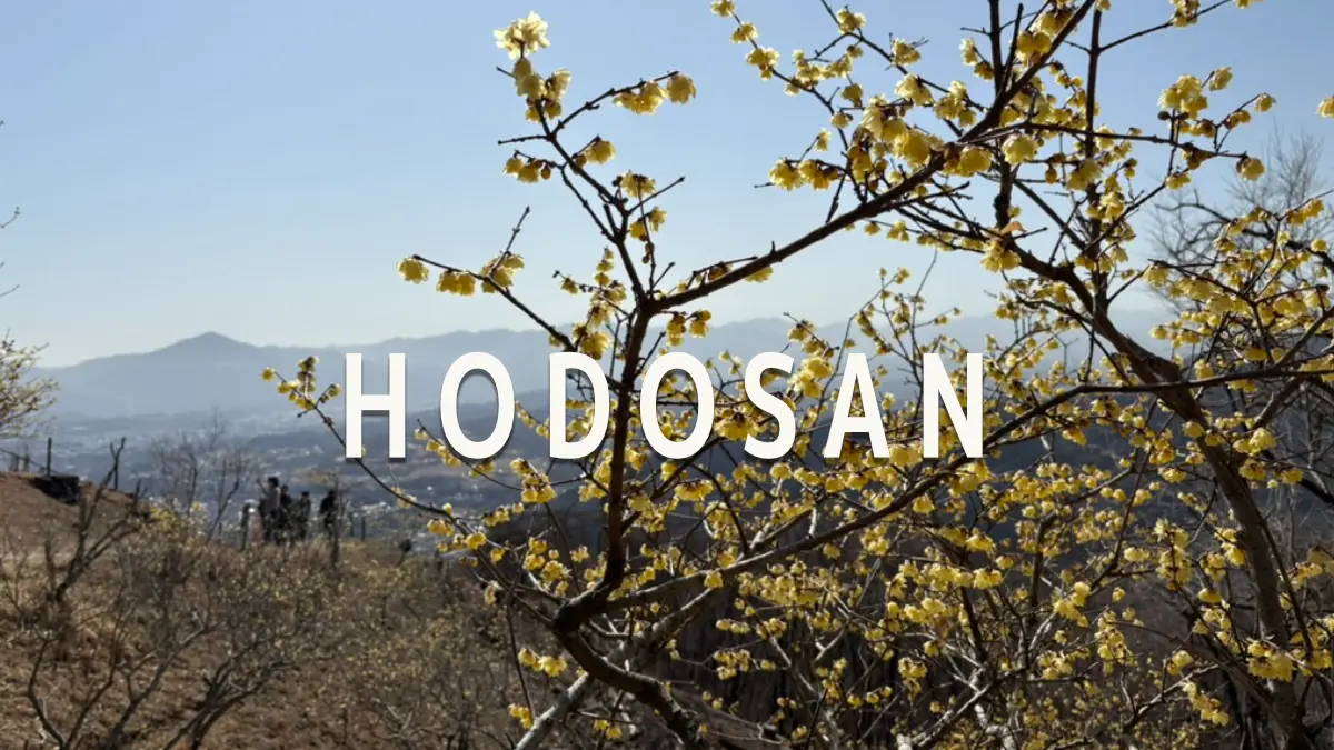 宝登山アイキャッチ