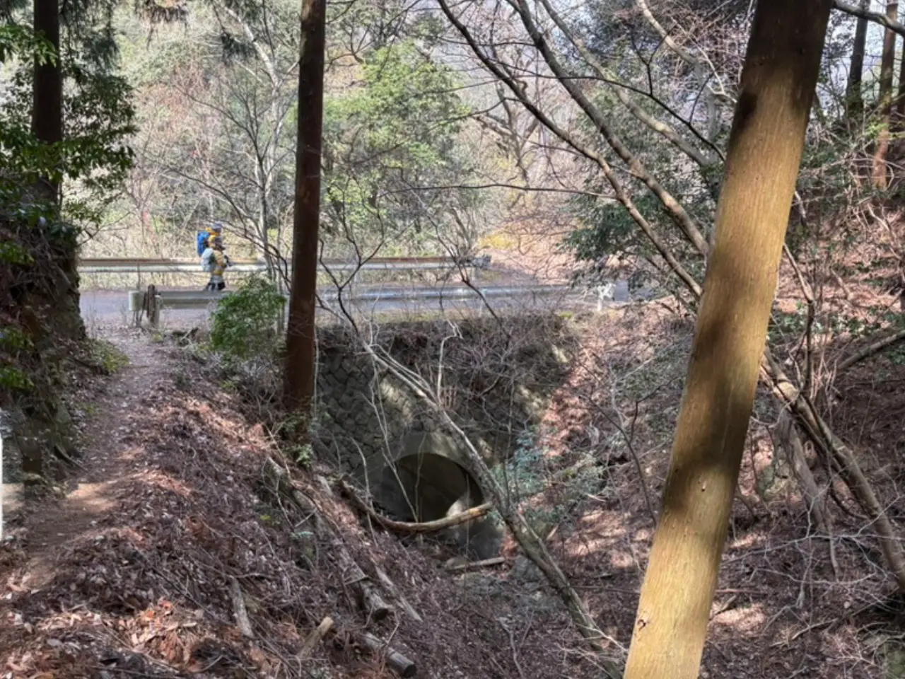 不動尻への舗装道