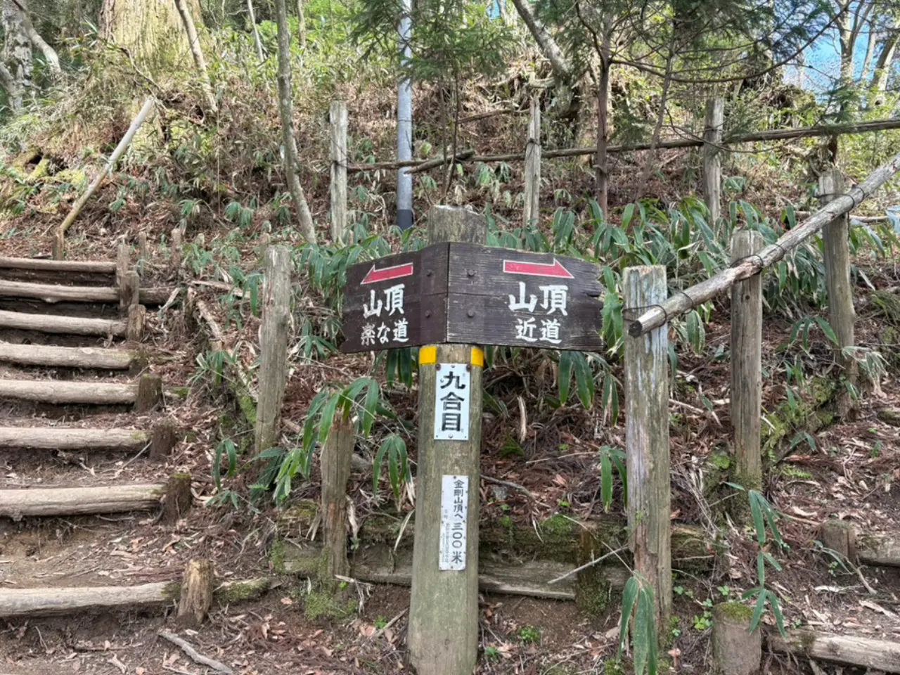 9合目の分岐