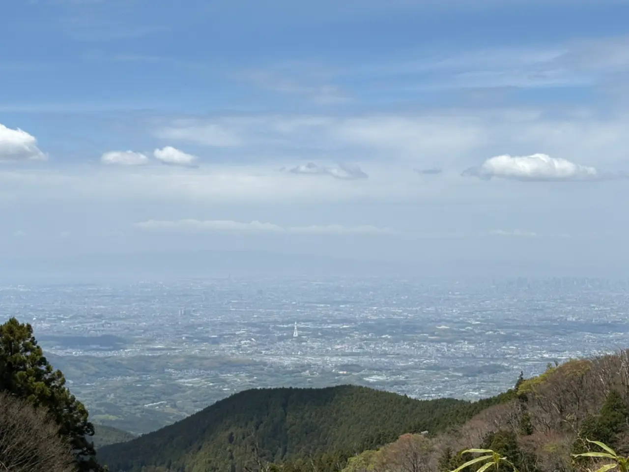山頂からの眺望